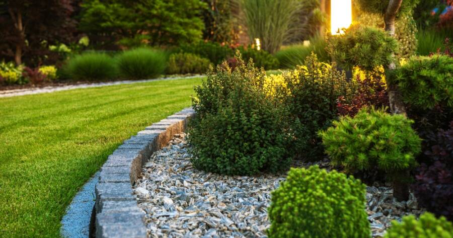 Low-Maintenance Landscaping Ideas for Busy Homeowners