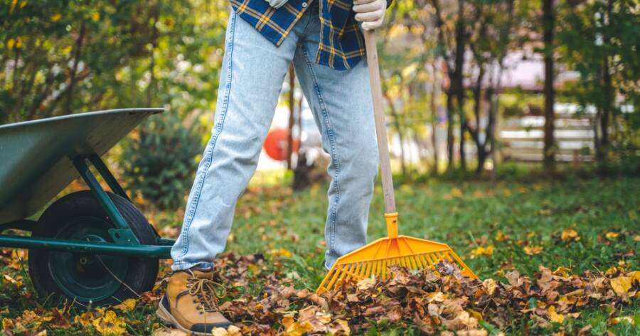Preparing Your Garden for Winter: Essential Steps for a Thriving Spring