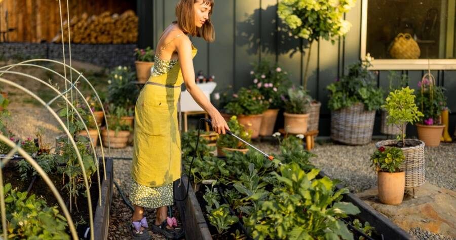 How to Build a Raised Garden Bed (and Why You Should)