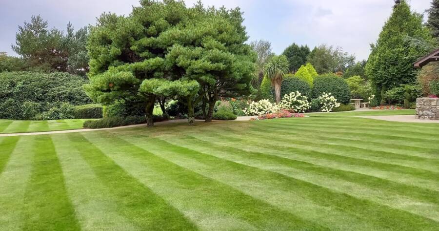 Year-Round Lawn Care: Seasonal Tips to Keep Your Grass Green and Healthy
